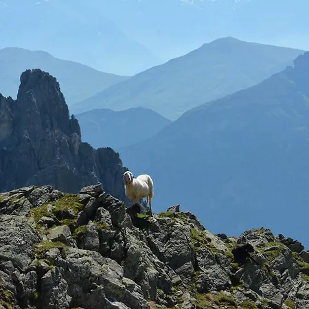 Am Rain 3* Neustift im Stubaital