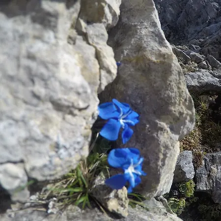 Am Rain 3* Neustift im Stubaital
