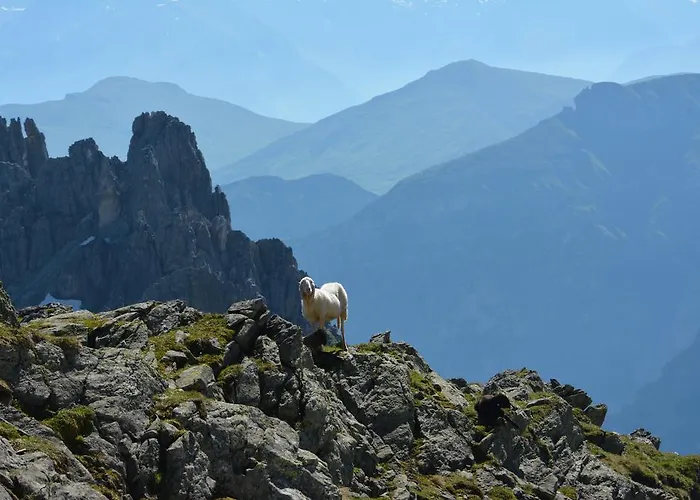 Am Rain 3* Neustift im Stubaital
