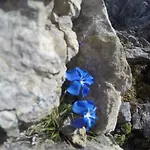 Am Rain 3* Neustift im Stubaital