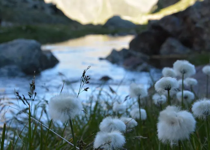 Guest house Am Rain 3*